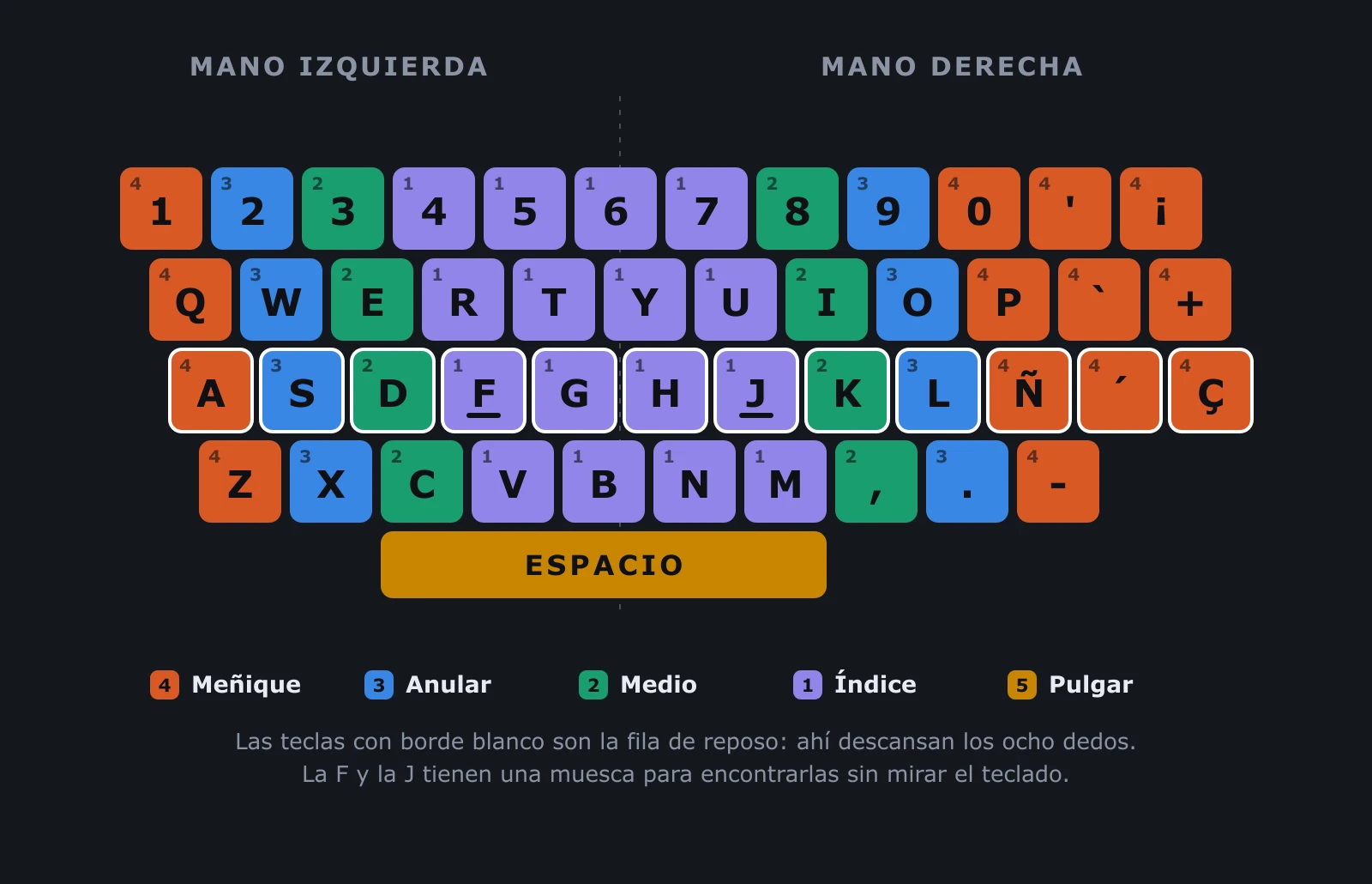 Teclado español con cada tecla coloreada según el dedo que debe presionarla, la fila de reposo marcada y el número de dedo en cada tecla
